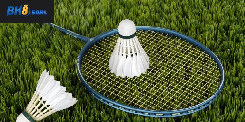 Các loại kèo cầu lông phổ biến nhất hiện nay Các loại kèo cầu lông phổ biến nhất hiện nay